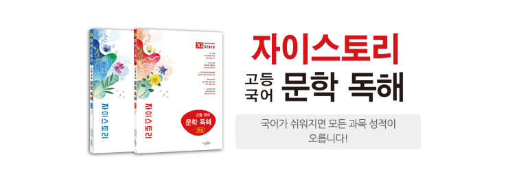 자이스토리 고등 국어 문학 독해